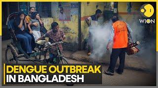 Bangladesh Dengue Outbreak: 10 Died, 999 Hospitalised in 24 Hours | World News | WION