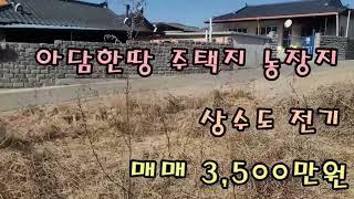 NO.281 영천땅 마을옆 상수도 전기 가능한 아담한땅 매매 3,500만원