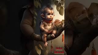 #hanuman #india, Baby Hanuman, Baby Monkey