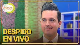 Conductor de TV relata qué pasó tras ser despedido por su jefe en vivo | Despierta América