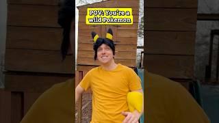 POV: You’re a wild Pokemon