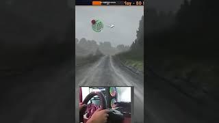 ЗДРАВСТВУЙТЕ ДЕРЕВО