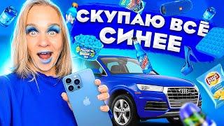 СКУПАЮ ВСЕ СИНЕГО ЦВЕТА ЧЕЛЛЕНДЖ! Мой бюджет не ограничен! 24 часа в одном цвете! // EVA mash