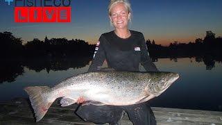 Laxfiske med Evelina Henriksen Team Abu Garcia!