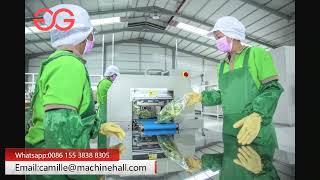 Cambodian Customers‘s Lettuce Vegetable Washing Processing Plant Purchase Process