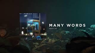 DROELOE - Many Words (Official Audio)