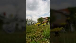 Take a Moment to relax…  #relaxingmusic #relaxing