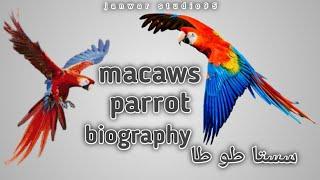 macaws parrot | biography | colour fully | birds