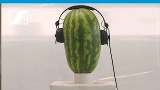 HD 25 – The Watermelon Challenge | Sennheiser