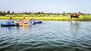 Moose Encounter While River Tubing | #shorts