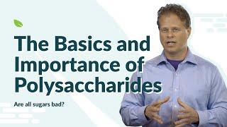 The Basics and Importance of Polysaccharides