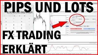 Forex Trading ▶ Was ist ein PIP & LOT? ▶ Wert Berechnung erklärt für Anfänger (Deutsch)