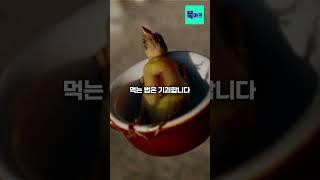 대통령까지 숨어서 먹어야 했다는 기괴한 음식 #shorts #쇼츠