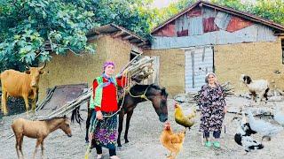 Collecting Wood with Grandma & Building a Wooden Fence in Village