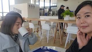 가파도 추억담  #손큐