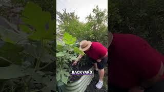 Grow Some Plants and Mind Your Business