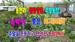 544 용천리 주말농장매매 전망좋은 흥해주말농장매매 주말을 조용하고 편안한 농막에서 하루를 보내요 도로에 잘 접한 포항농지매매 흥해농지매매 흥해부동산포항부동산지목부동산