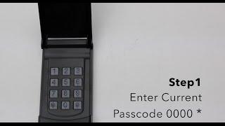 Skylink Keyless Entry Model KN-318 - Changing Passcode