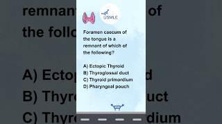 Endocrine Anatomy | Drone Drill Quiz Quest | MCQ Prep Challenge # 6 @USMLEDrone | MCQ Practice