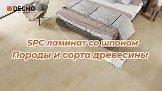 SPC ламинат со шпоном｜Породы и сорта древесины｜DECNO