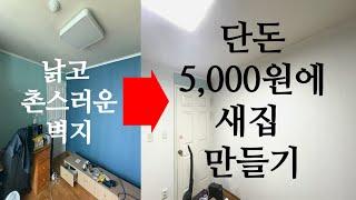 답 없는 내 방에 희망이..? | 다이소 셀프 도배 벽지 후기!! | 화이트 인테리어 | 셀프도배 |