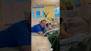When the dog hears the sound of thunder！#dog#dogs#funnydog#pets#funnyvideos#funnyanimals#foryoupage