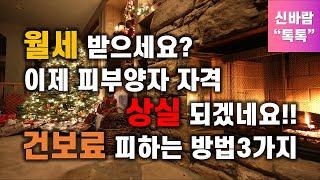 월세 받으세요? 이제 피부양자 자격상실 되겠네요!! 건강보험료 통지서 피하는 방법 3가지