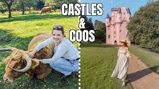 East Coast Scotland Road Trip - Highland Cow Tour and Scottish Castles