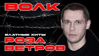 ВОЛК - Роза ветров - Блатные хиты #блатняк  @blatnoe_radio