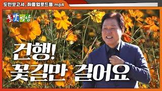 건강하고 행복하자! #건행 #걷기대회