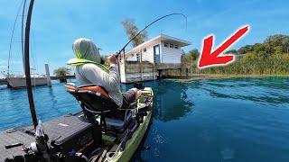 REALISTIC Summer Bass Fishing