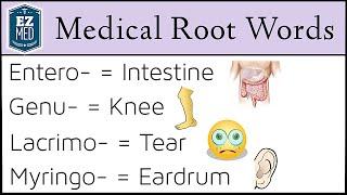 Medical Terminology: Root Words MADE EASY [Nursing, Students, Coding Classes]