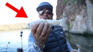 Showing This Famous Singer The Power Of Big Glides Baits! (Surpirse Catch!)