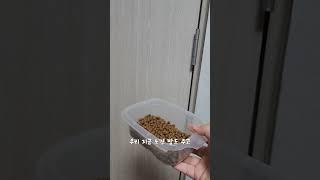 진짜 별거없는 초딩 아침루틴️ #설참 #12년생 #브이로그 #vlog
