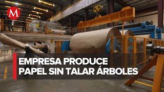 Bio Pappel revoluciona la producción de papel: Elige el reciclado en lugar de los árboles