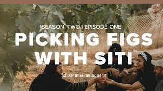 S2: Turmusaya | E1: Picking Figs with Siti in Palestine