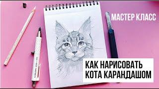 КАК РИСОВАТЬ КОТА КАРАНДАШОМ