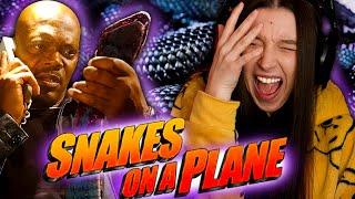 Ex Flight Attendant Watches Snakes on a Plane (2006) | FIRST TIME WATCHING | Movie Reaction