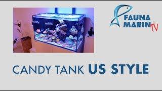 Der US-Style Candy Tank von Kai Friedrich