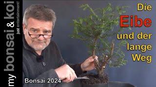 Bonsai 2024-54 - Taxus Baccata - Die Eibe und der ganz lange Weg