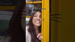 Khelna koodna aur sona #catlover #catmemes #pets #catvideos #funny #relatable