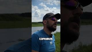 Алексей Иванович про кору и сорняки, а еще больше аналитики от Алексея в ролике по ссылке️