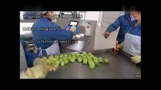 Kiwi washing cutting line/Kiwifruit processing line