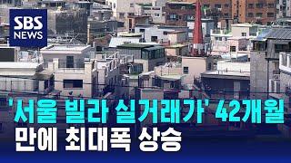 '서울 빌라 실거래가' 42개월 만에 최대폭 상승 / SBS