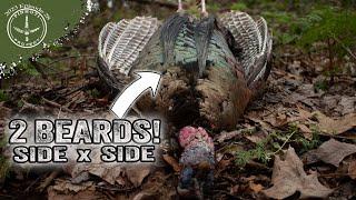 GOBBLER of a LIFETIME | PUBLIC LAND TURKEY HUNTING | DOUBLE BEARDS that GROW PARALLEL - Pinhoti 2023