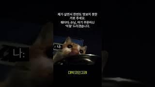#비트코인 #bitcoin #리플