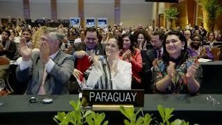 19th session of the Intergovernmental Committee - Floor - 3 December 2024 - pt7bpart1