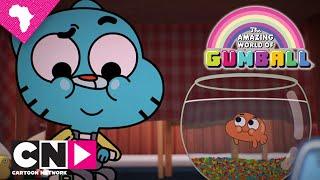 Introducing Darwin | The Amazing World of Gumball | Cartoon Network