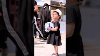 Najaf To Karbala Walk 2024 | Arbaeen Walk | Safar E Ishq | Arbaeen | 2024 / 1446H #karbala #iraq