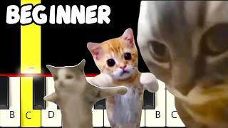 5 Famous Cat Songs - Slow and Easy Piano Tutorial - Beginner